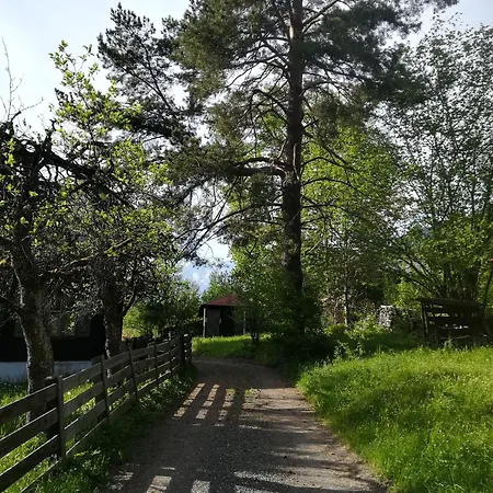Momo * Kitzbuhel