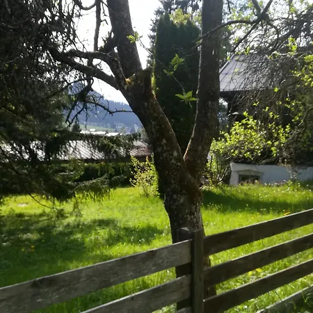 Momo Kitzbühel