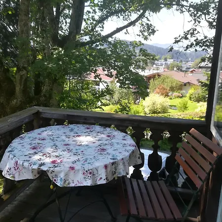Momo * Kitzbühel