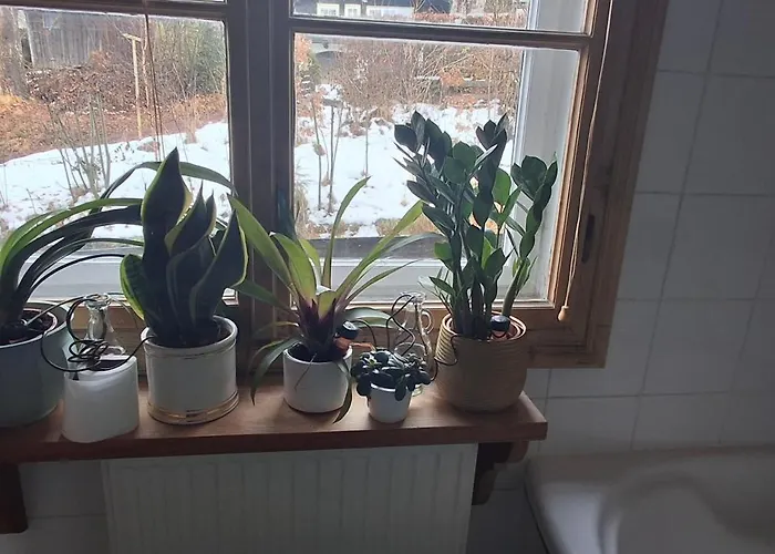 Momo בית נופש קיצביהל