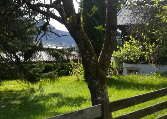 Momo Κίτσμπουελ