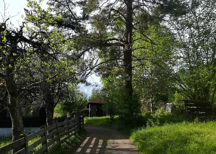 Momo * キッツビュール