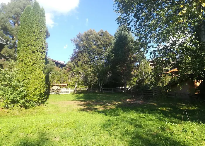 Momo キッツビュール